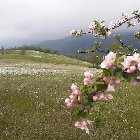 La Bicocca Bed & Breakfast Bobbio